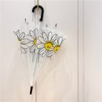 Transparenter Regenschirm mit floralem Muster
